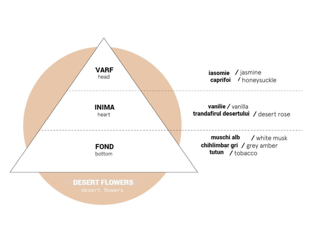 piramida-aromelor desert-flower